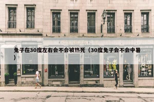 兔子在30度左右会不会被热死（30度兔子会不会中暑）