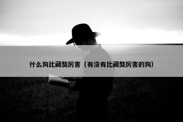 什么狗比藏獒厉害（有没有比藏獒厉害的狗）
