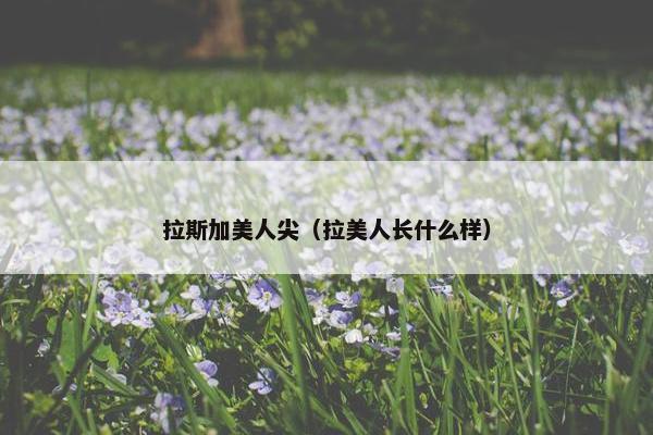 拉斯加美人尖（拉美人长什么样）