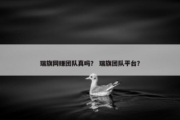 瑞旗网赚团队真吗？ 瑞旗团队平台？