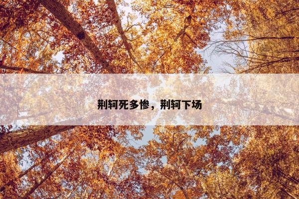 荆轲死多惨，荆轲下场