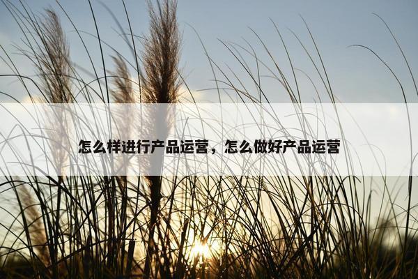 怎么样进行产品运营，怎么做好产品运营