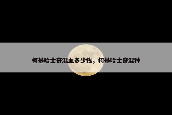 柯基哈士奇混血多少钱，柯基哈士奇混种