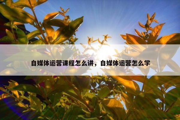 自媒体运营课程怎么讲，自媒体运营怎么学