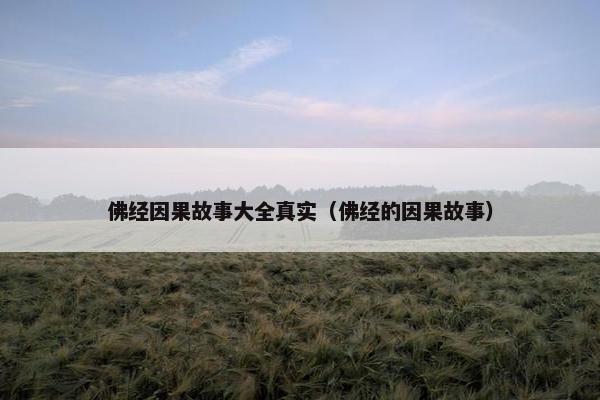 佛经因果故事大全真实（佛经的因果故事）