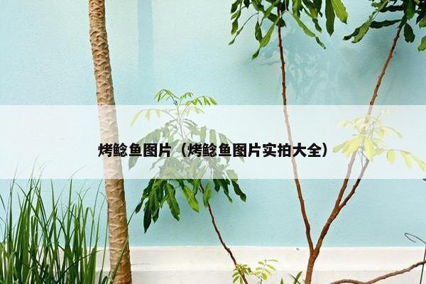 烤鲶鱼图片（烤鲶鱼图片实拍大全）