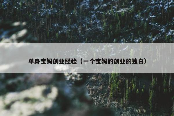 单身宝妈创业经验（一个宝妈的创业的独白）