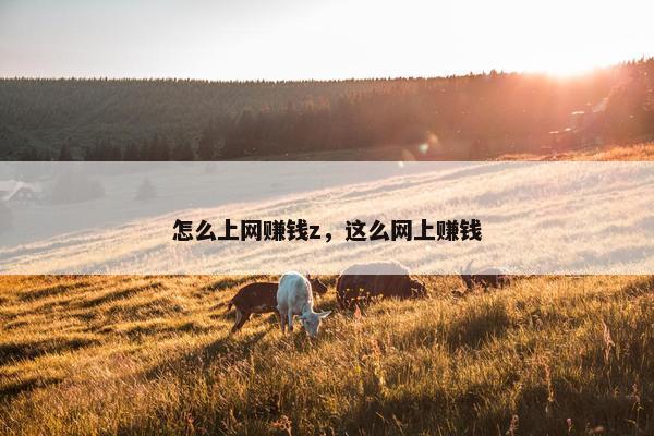 怎么上网赚钱z，这么网上赚钱