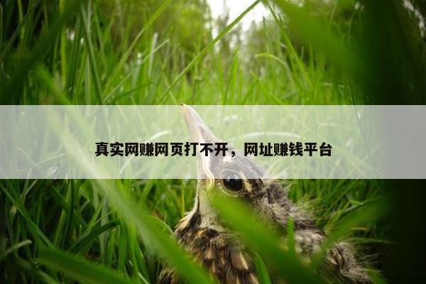 真实网赚网页打不开，网址赚钱平台