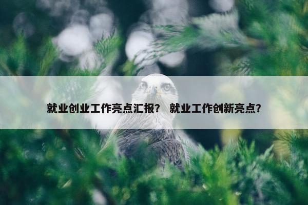 就业创业工作亮点汇报？ 就业工作创新亮点？