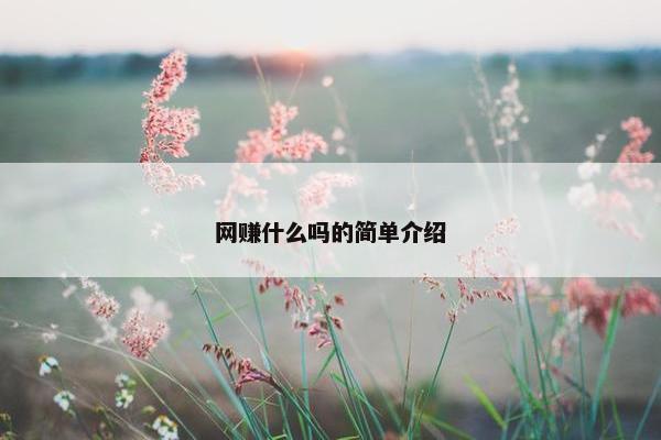 网赚什么吗的简单介绍