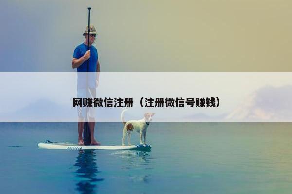 网赚微信注册（注册微信号赚钱）