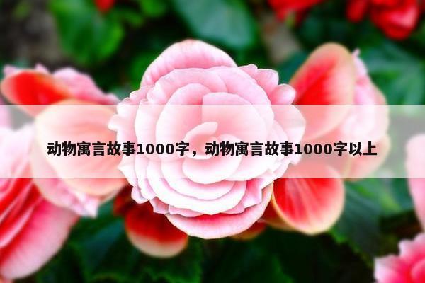 动物寓言故事1000字，动物寓言故事1000字以上