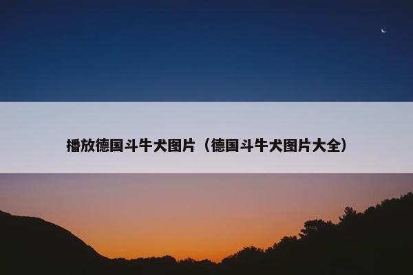 播放德国斗牛犬图片（德国斗牛犬图片大全）