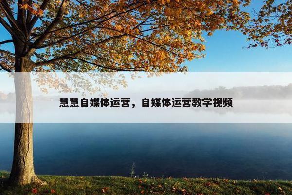 慧慧自媒体运营，自媒体运营教学视频