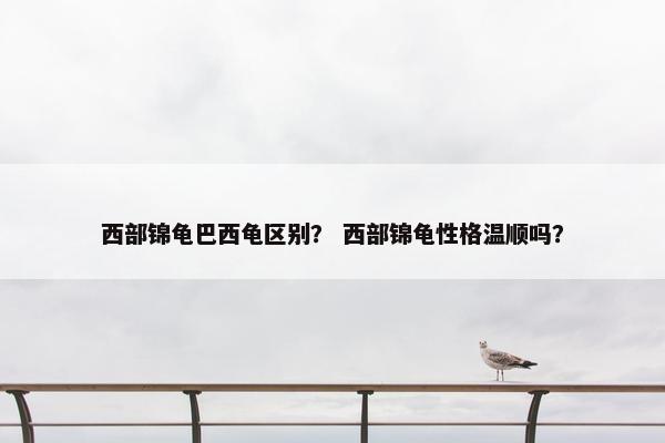 西部锦龟巴西龟区别？ 西部锦龟性格温顺吗？