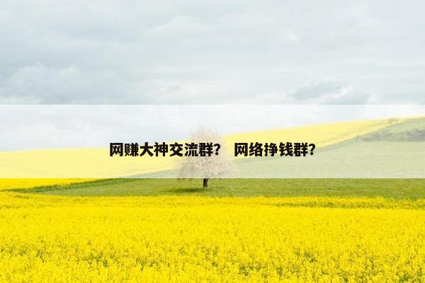 网赚大神交流群？ 网络挣钱群？