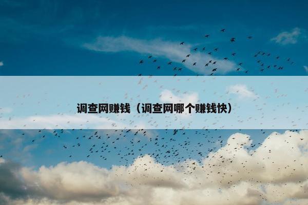 调查网赚钱（调查网哪个赚钱快）