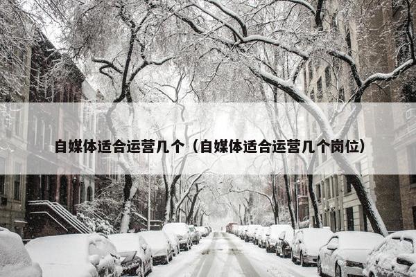 自媒体适合运营几个（自媒体适合运营几个岗位）