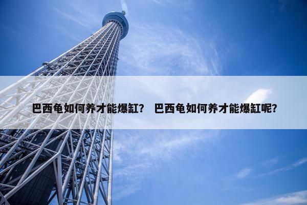 巴西龟如何养才能爆缸？ 巴西龟如何养才能爆缸呢？