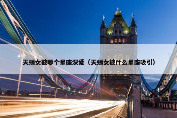 天蝎女被哪个星座深爱（天蝎女被什么星座吸引）