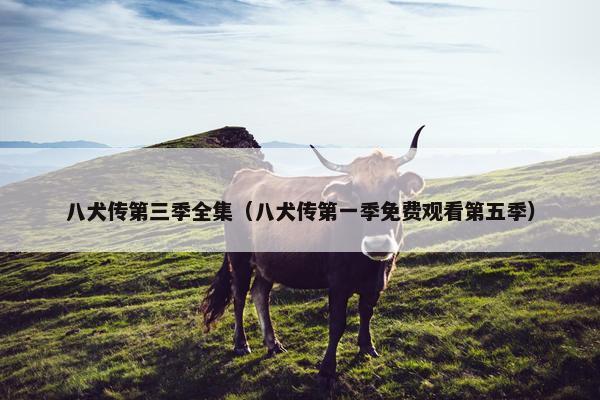 八犬传第三季全集（八犬传第一季免费观看第五季）