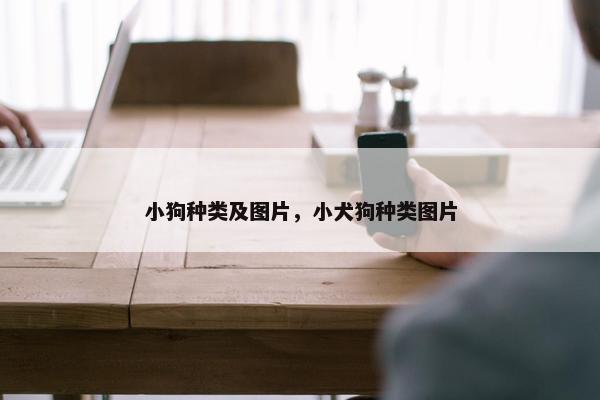 小狗种类及图片，小犬狗种类图片