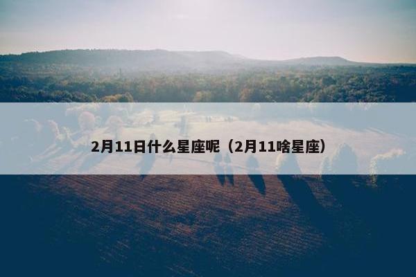 2月11日什么星座呢（2月11啥星座）