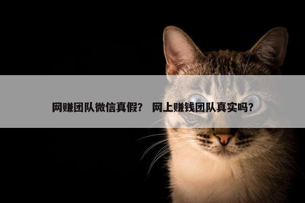 网赚团队微信真假？ 网上赚钱团队真实吗？