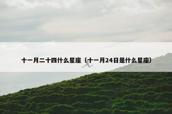十一月二十四什么星座（十一月24日是什么星座）