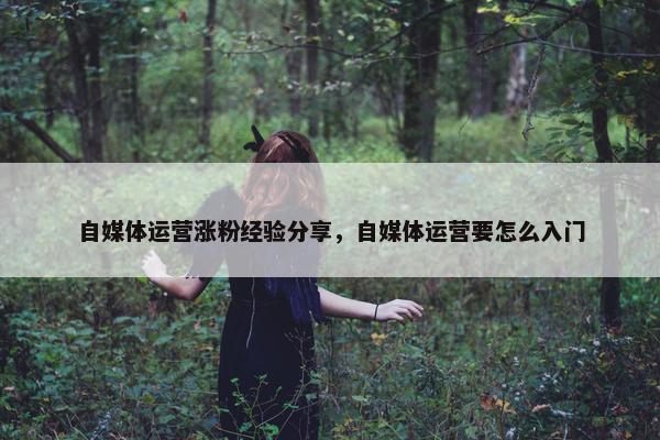 自媒体运营涨粉经验分享，自媒体运营要怎么入门