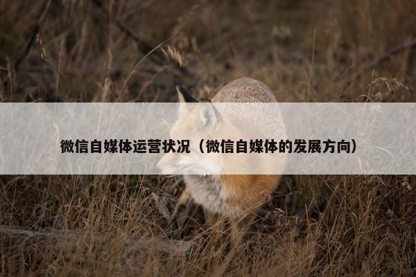 微信自媒体运营状况（微信自媒体的发展方向）