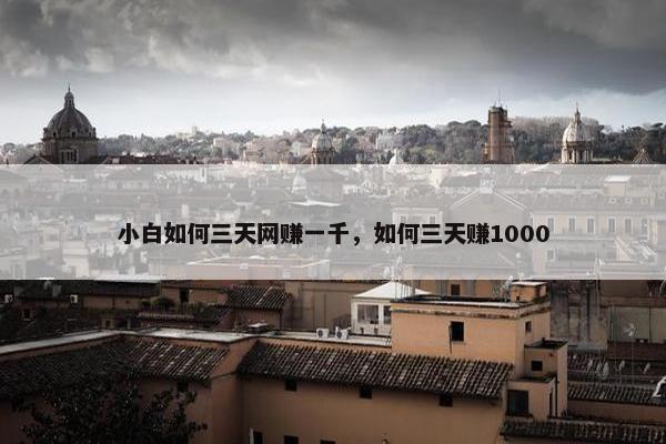 小白如何三天网赚一千，如何三天赚1000
