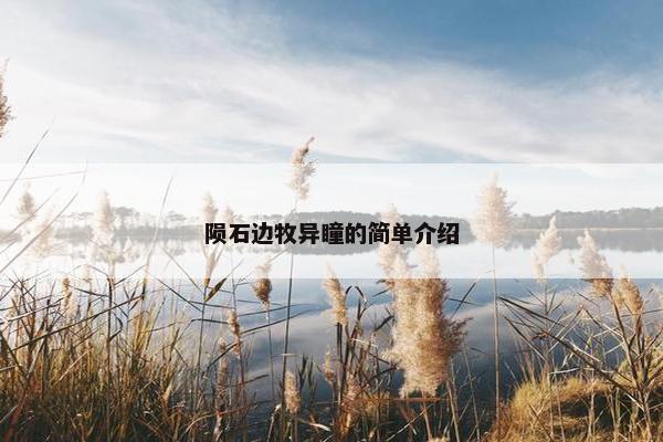 陨石边牧异瞳的简单介绍