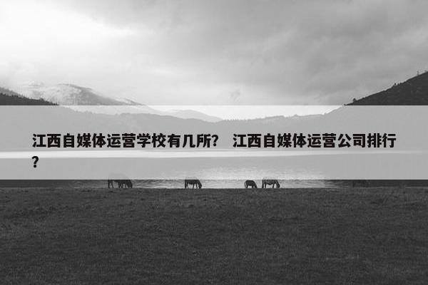 江西自媒体运营学校有几所？ 江西自媒体运营公司排行？