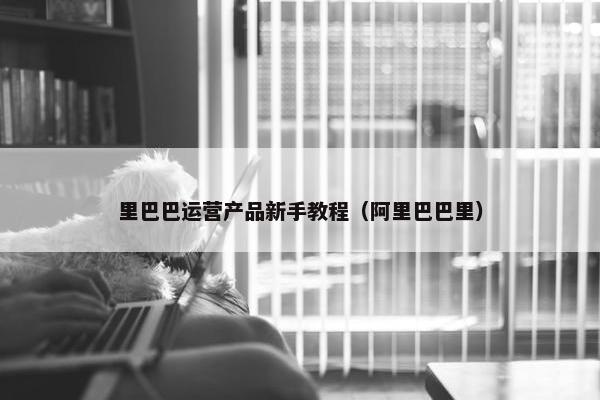 里巴巴运营产品新手教程（阿里巴巴里）