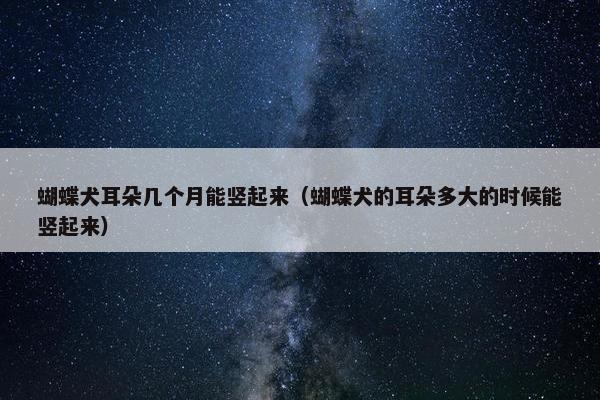 蝴蝶犬耳朵几个月能竖起来（蝴蝶犬的耳朵多大的时候能竖起来）