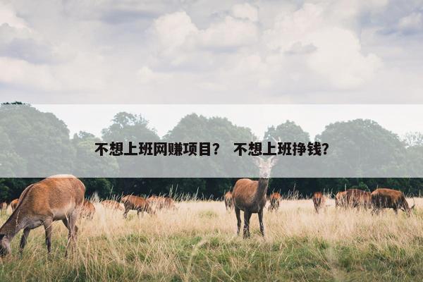 不想上班网赚项目？ 不想上班挣钱？