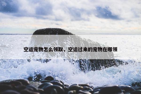 空运宠物怎么领取，空运过来的宠物在哪领