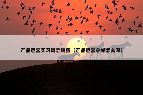 产品运营实习周志销售（产品运营总结怎么写）