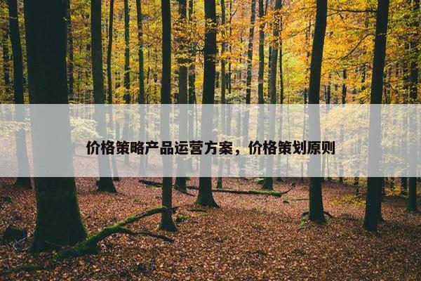 价格策略产品运营方案，价格策划原则