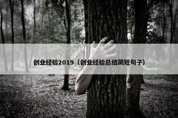创业经验2019（创业经验总结简短句子）