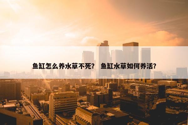 鱼缸怎么养水草不死？ 鱼缸水草如何养活？