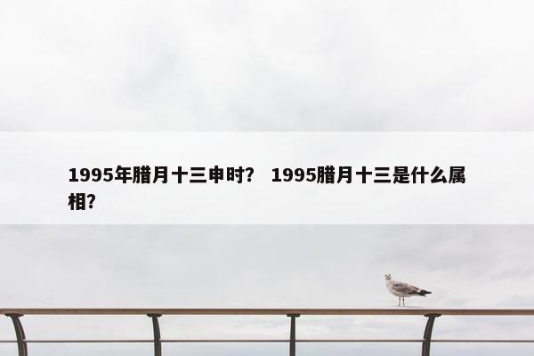 1995年腊月十三申时？ 1995腊月十三是什么属相？