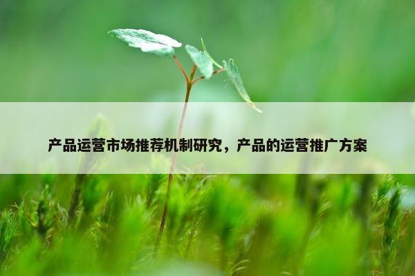 产品运营市场推荐机制研究，产品的运营推广方案