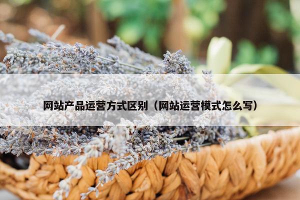 网站产品运营方式区别（网站运营模式怎么写）
