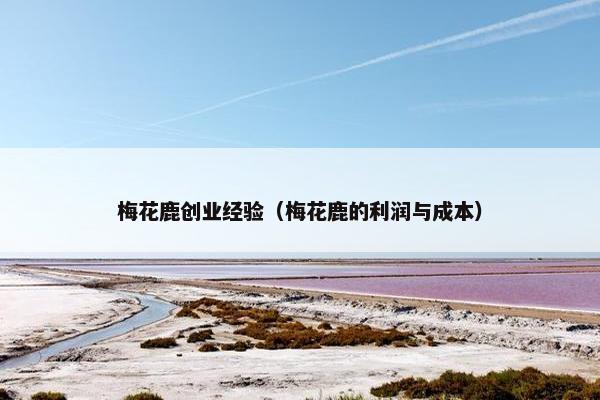 梅花鹿创业经验（梅花鹿的利润与成本）
