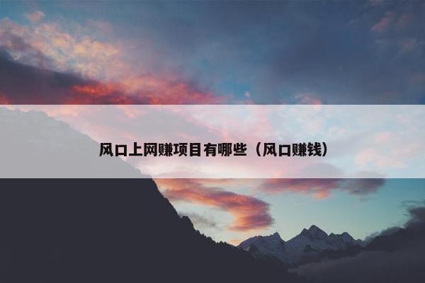风口上网赚项目有哪些（风口赚钱）