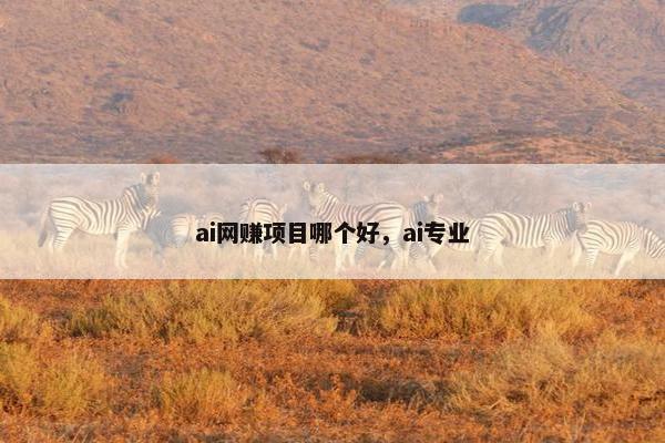 ai网赚项目哪个好，ai专业