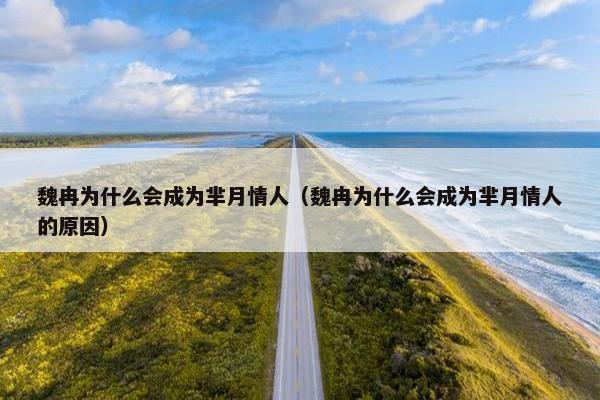 魏冉为什么会成为芈月情人（魏冉为什么会成为芈月情人的原因）